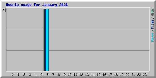 Hourly usage for January 2021